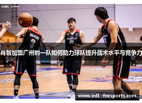 肖智加盟广州豹一队如何助力球队提升战术水平与竞争力 肖智加盟广州豹一队如何助力球队提升战术水平与竞争力
